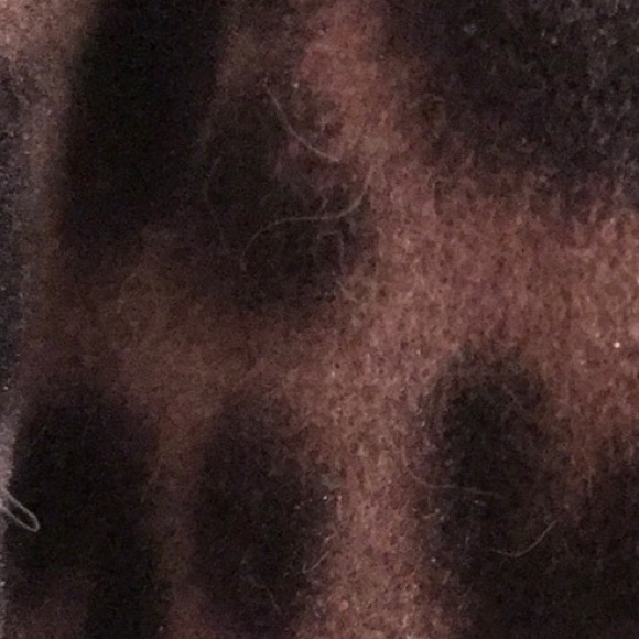 Old Navy Leopard Print Infinity Scarf - Picture 5 of 6